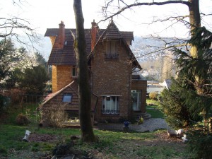 C'est à l'arrière de la maison que la découverte a été faite.