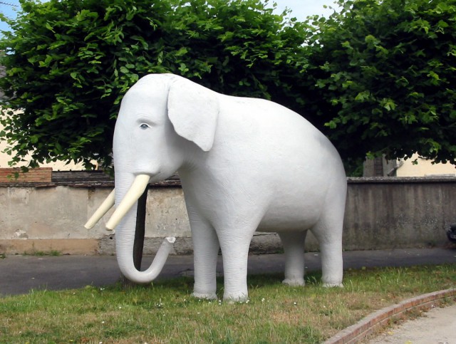 Eléphant