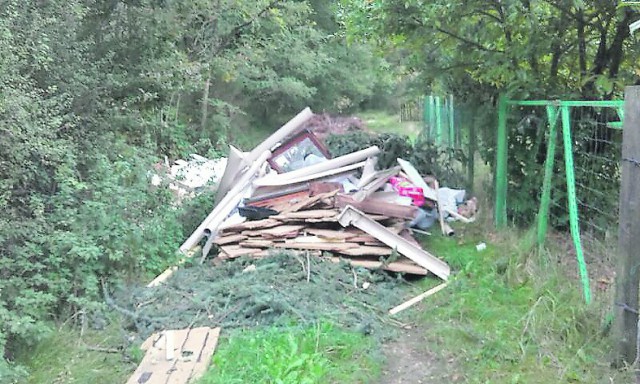 OLLAINVILLEdepotsauvage10CM