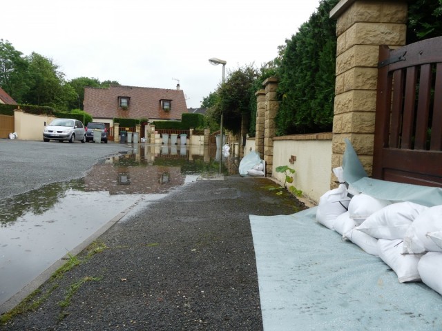 P1000447