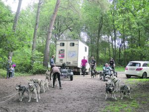 Tout le monde est prêt pour la balade avec les chiens de traîneaux.