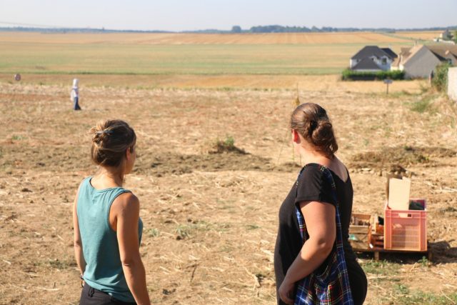 Potager collaboratif