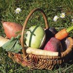 panier