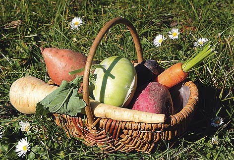 panier