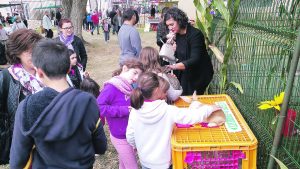 Les enfants ont découvert les animaux de la ferme !