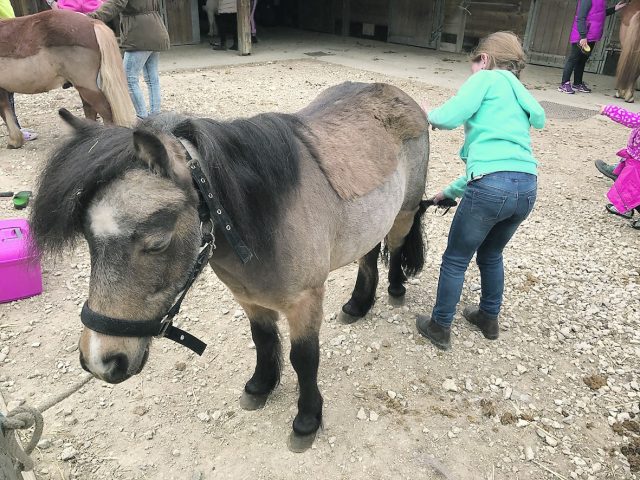 poney yerres