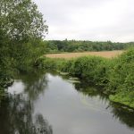 DANNEMOISsoisyriviere
