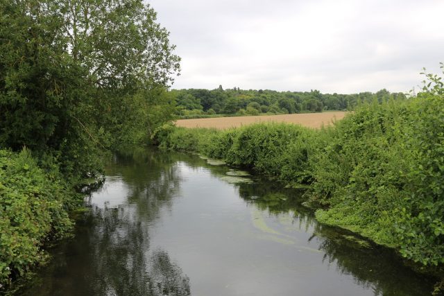 DANNEMOISsoisyriviere