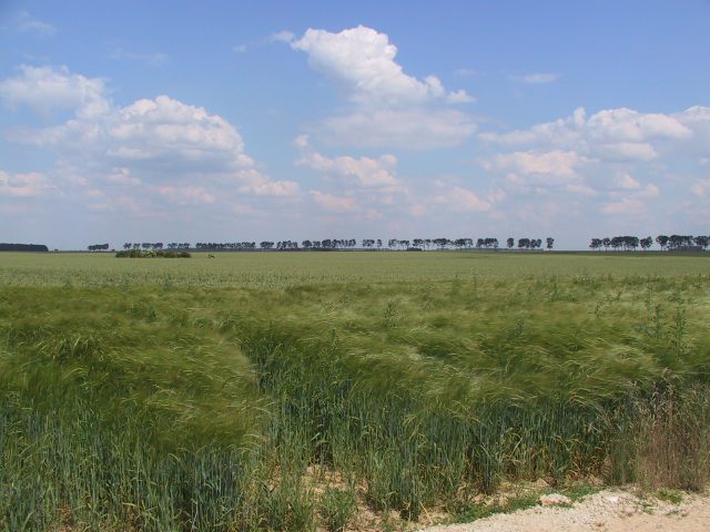Agri
