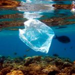 Plastique-dans-les-mers