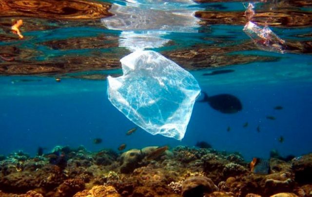 Plastique-dans-les-mers