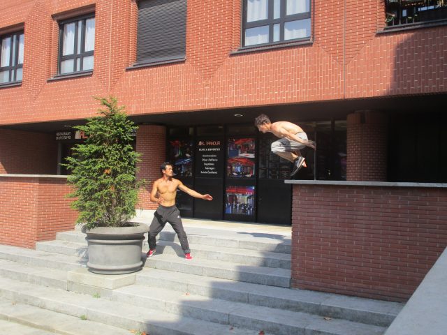 Saut