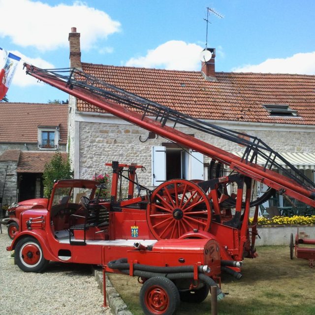 VILLENEUVErosaliefertoise