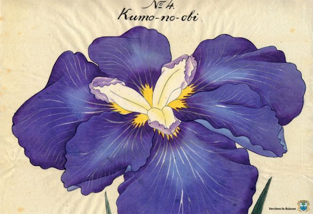 cartePostale_OK-6