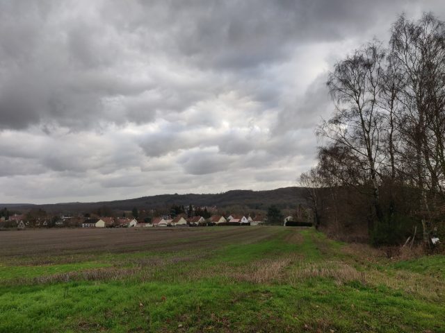 STCHERONzacjuiniere