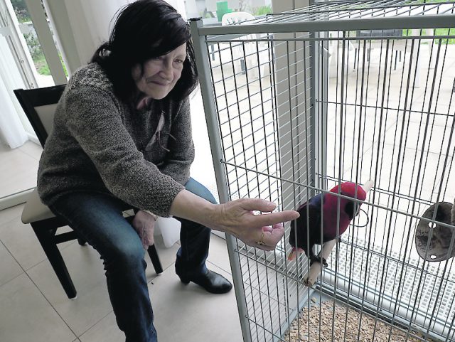 Pierrette et Bali le perroquet présentation essai médiation animale chien senior