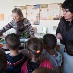 Chantal Yvé et l’enseignante montrent des plants de légumes aux enfants de maternelle