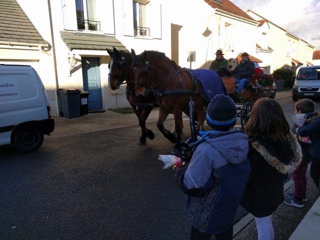 DOURDAN cheval