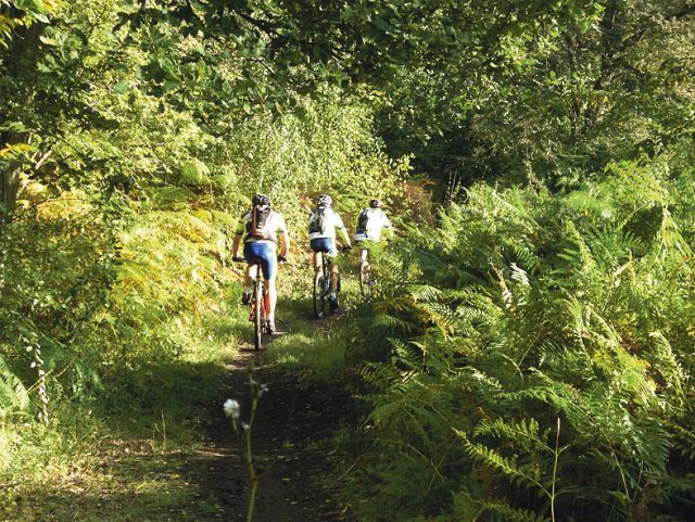 DourdanChataignesVTT