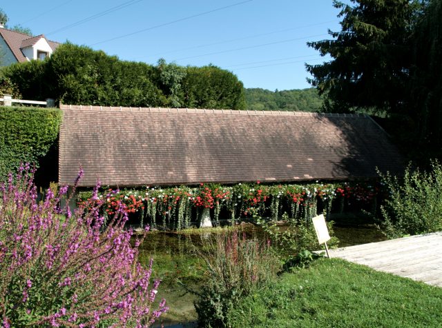SOUZYLABRICHEfleur
