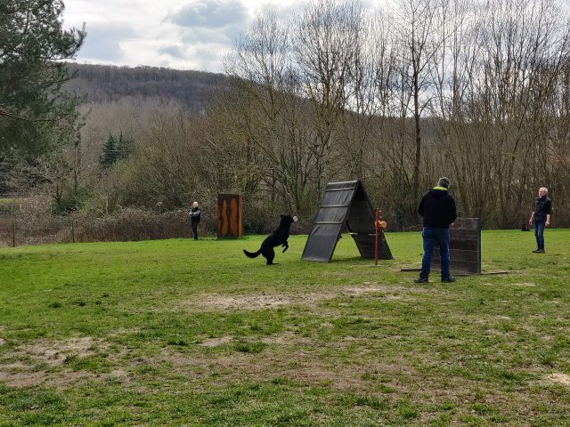 ROINVILLEconcourscanin