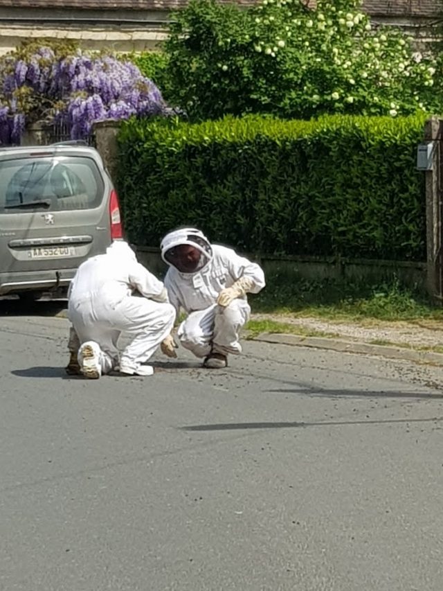 CORBREUSE abeilles