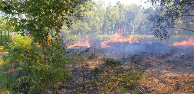 FD Yerres incendie