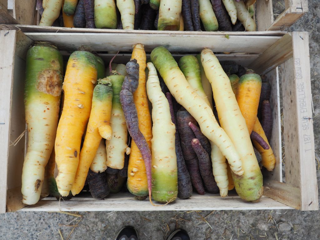 Isabelle Olivier Desforges Bouville Essonne potager 