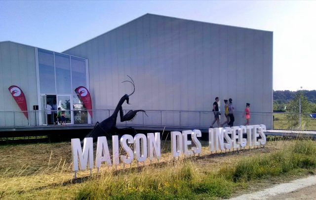 Maison des insectes_Opie