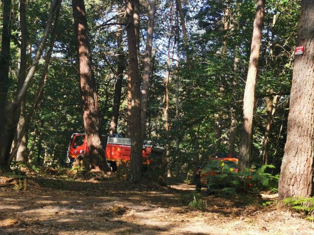 SSDF feu forêt
