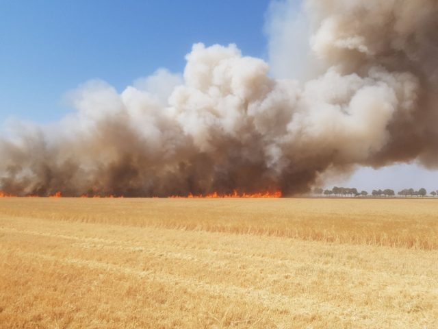 Incendie aux abords du Chesnay à Etampes