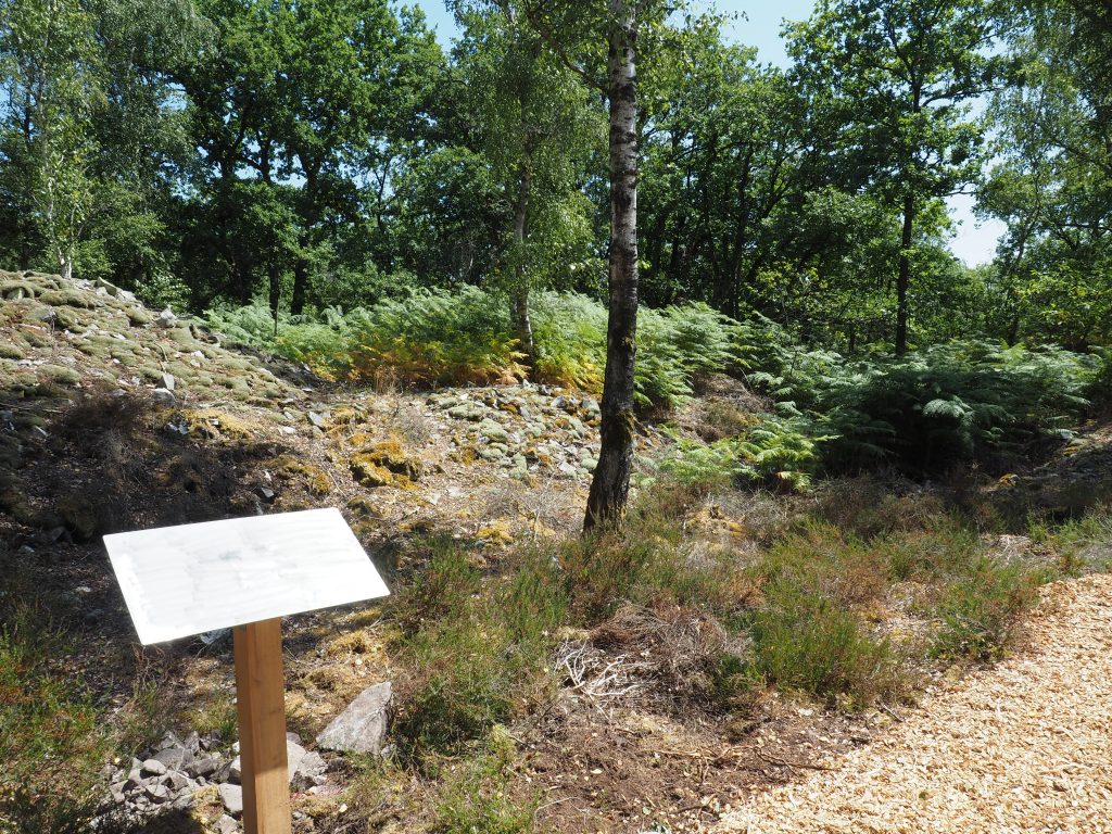 visite presse foret de la barre département etrechy auvers saint georges morigny champigny tableaux pédagogiques