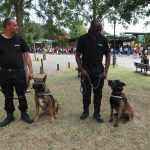 Deux maîtres-chiens patrouillent sur le site depuis le 5 août.