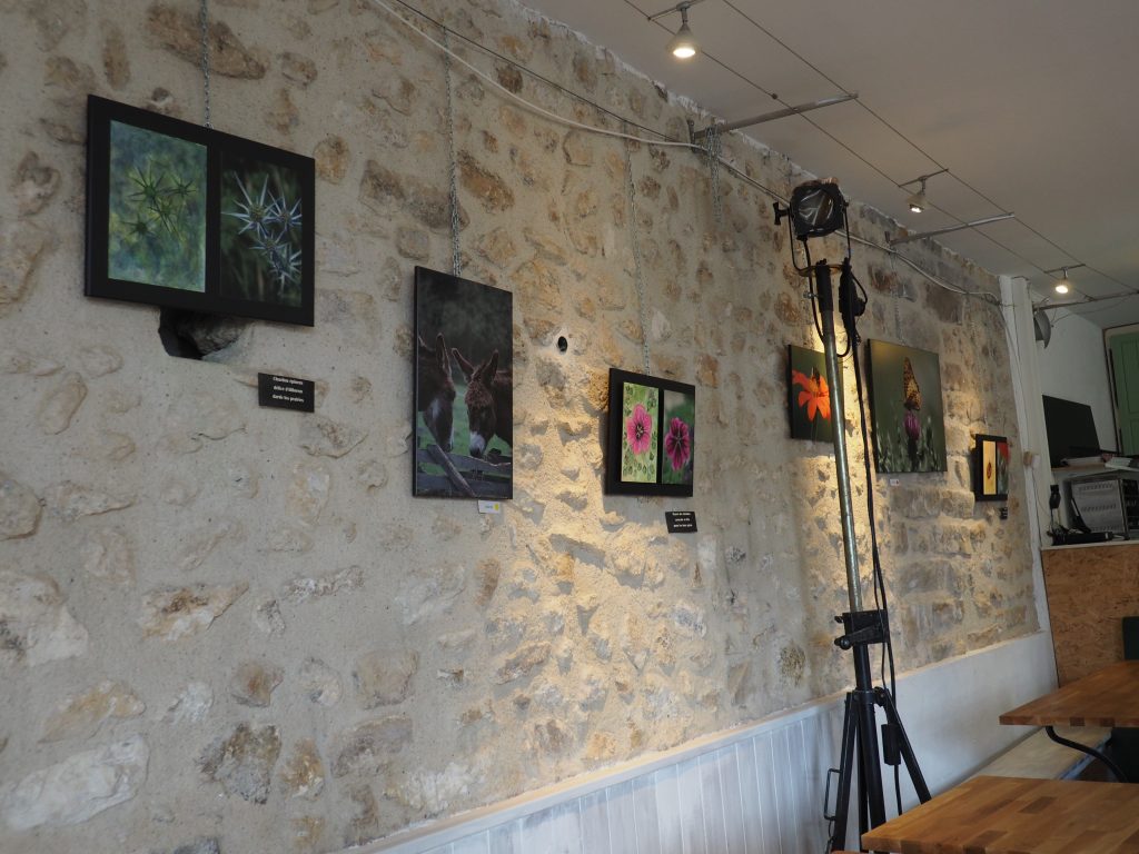 exposition Ptit Cerny café associatif