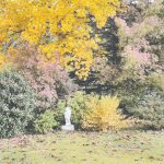 JanvilleJardinSymphorine