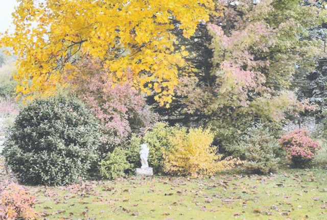 JanvilleJardinSymphorine