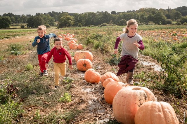 Citrouilles-enfants-course (1)