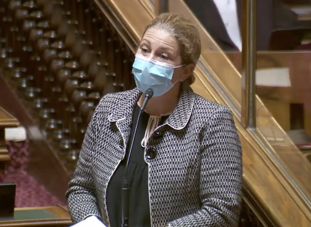 DEP senat ld