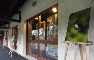 exposition salon art et matière prunay-sur-essonne