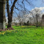 Visuel Printemps