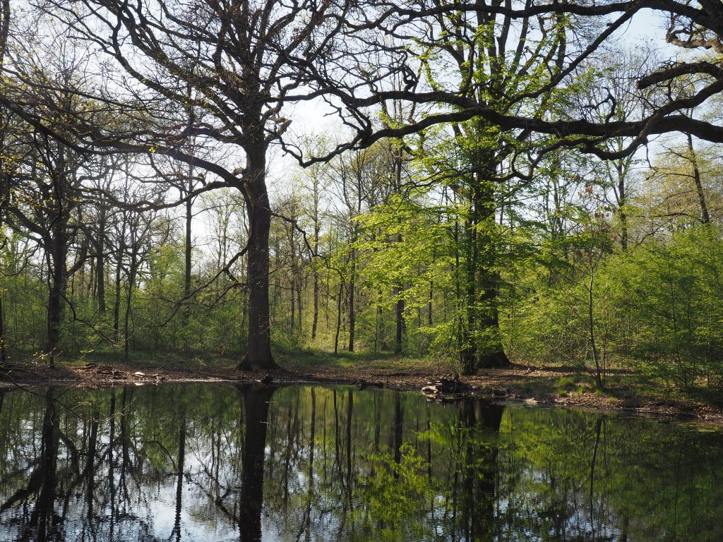 fauteuil tout terrain ma roue libre association auvernaux foret de senart départ étiolles