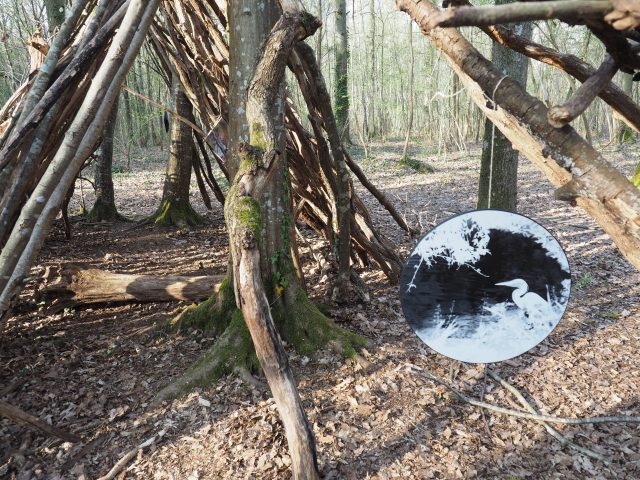 Les livres et les photographies ont été suspendus dans les cabanes au bord de la piste cyclable.