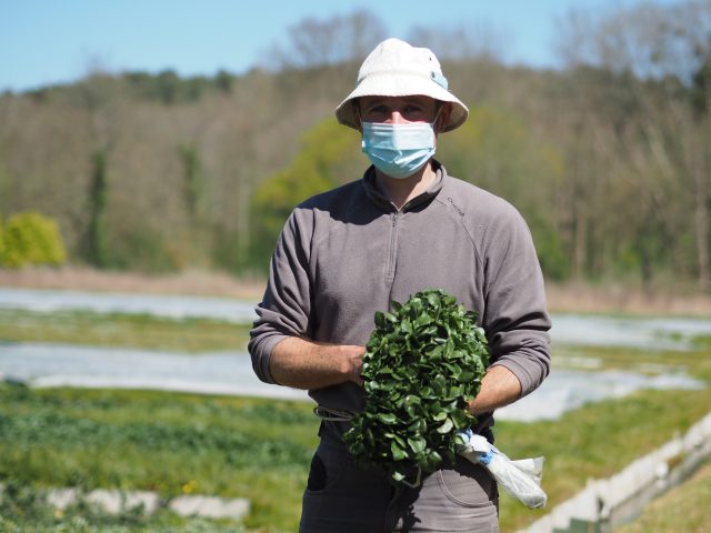 Mikaël Morizot, 38 ans, est l'un des plus jeunes cressonniers de l'Essonne. cressonnière sainte anne vayres-sur-essonne mikael morizot