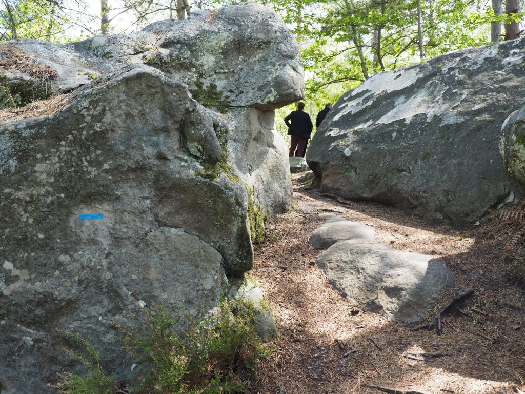 parcours sportif forêt des grands avaux champcueil département