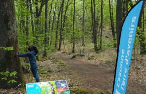 parcours sportif forêt des grands avaux champcueil département
