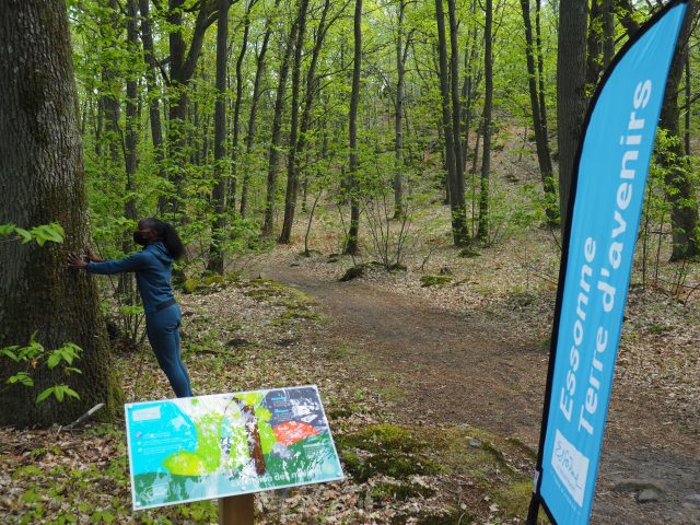 parcours sportif forêt des grands avaux champcueil département