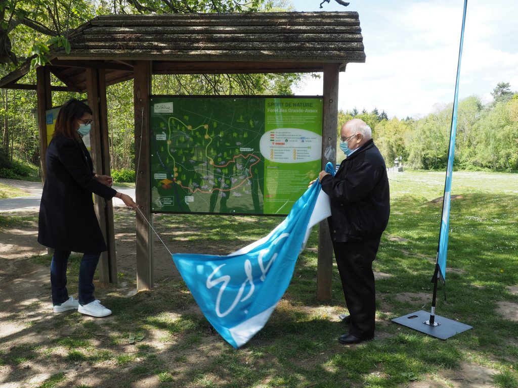 parcours sportif forêt des grands avaux département champcueil