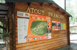 parc atout branches milly la forêt