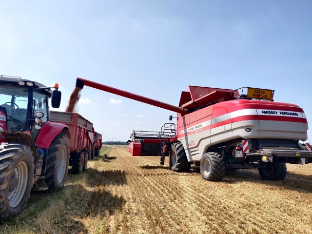 STESCO moisson