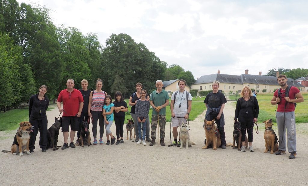 chamarande barque chiens